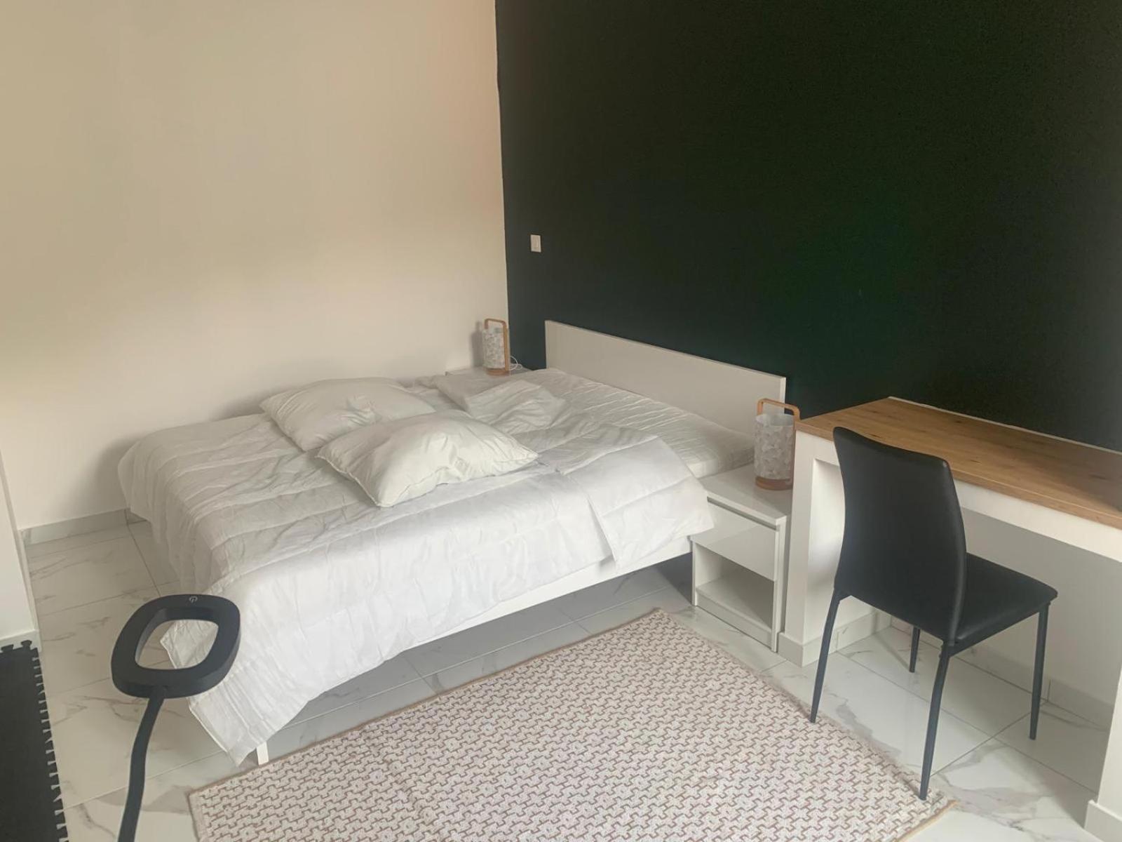 Apartamento Chez Emilie Et John Saint-Etienne  Exterior foto